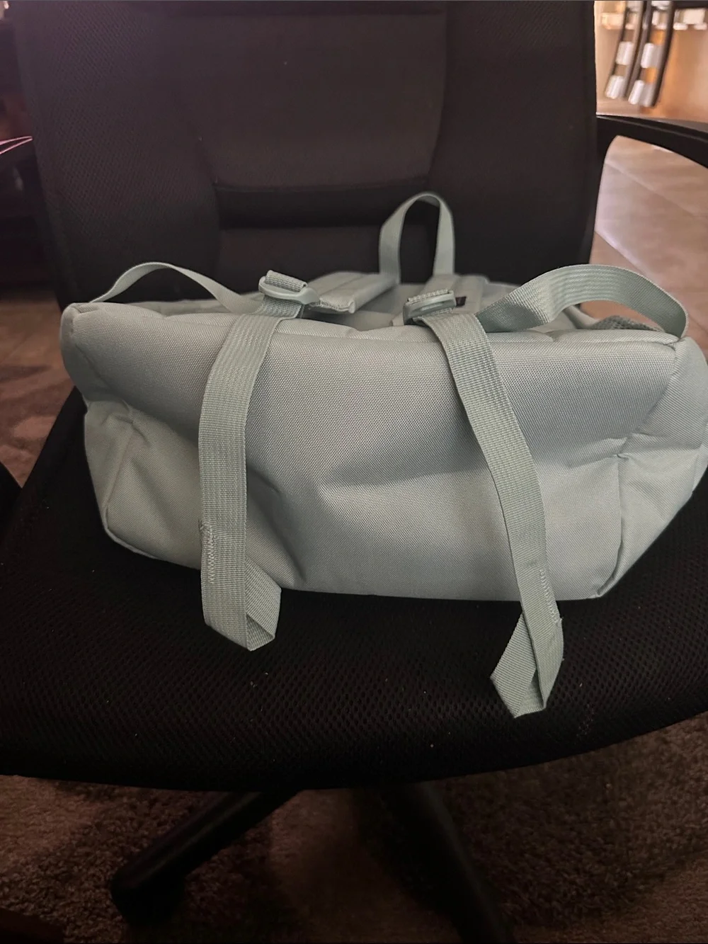 Jansport classic sage